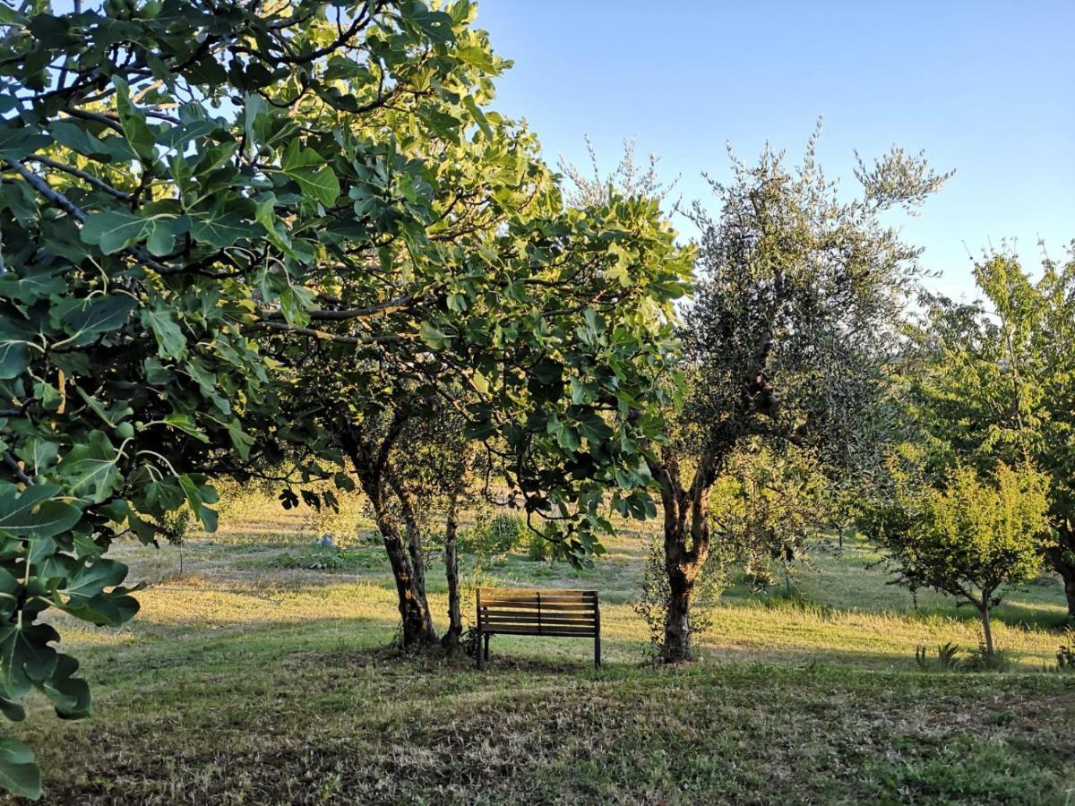 Agriturismo I Ciliegi Appartamento Ginestra Montignano Exterior photo