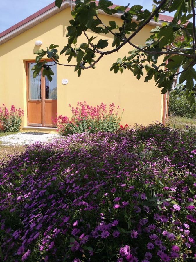 Agriturismo I Ciliegi Appartamento Ginestra Montignano Exterior photo